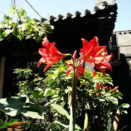 Pingyao Tian Yi Hostel Extérieur photo